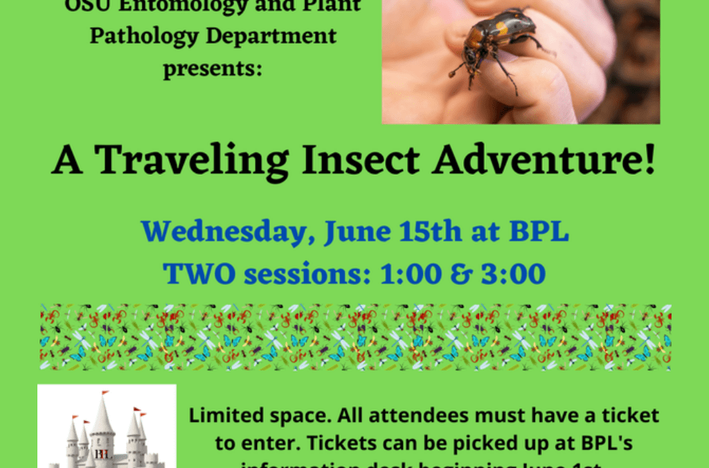 A Traveling Insect Adventure