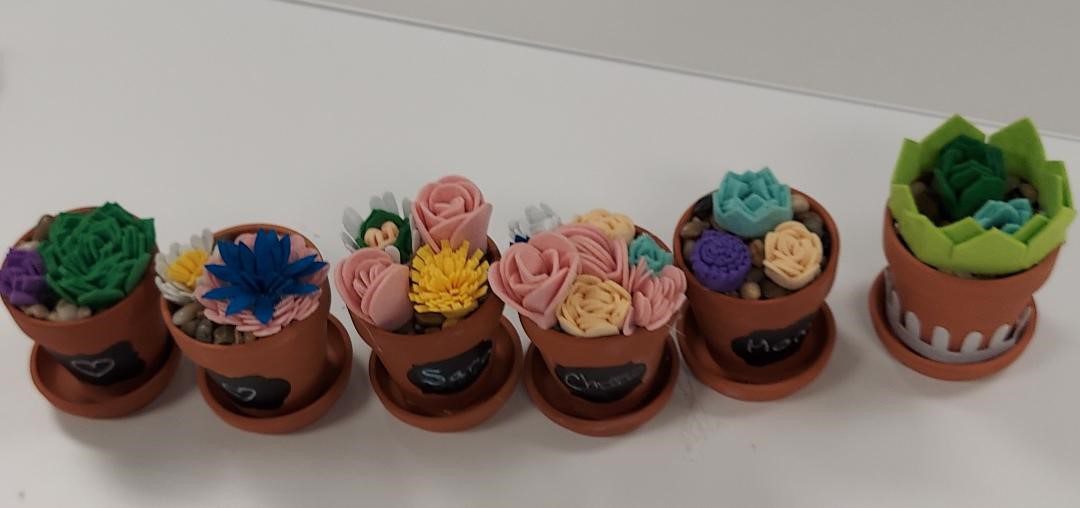 Felt Succulent Craft