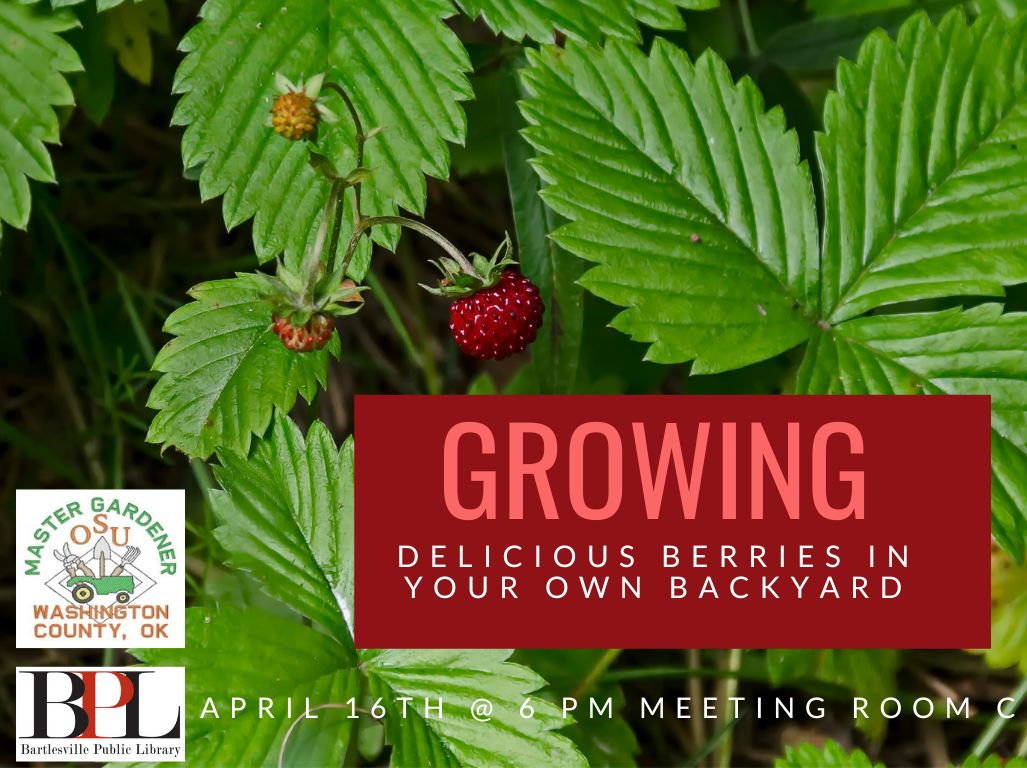 Growing Delicious Berries in Your Own Backyard