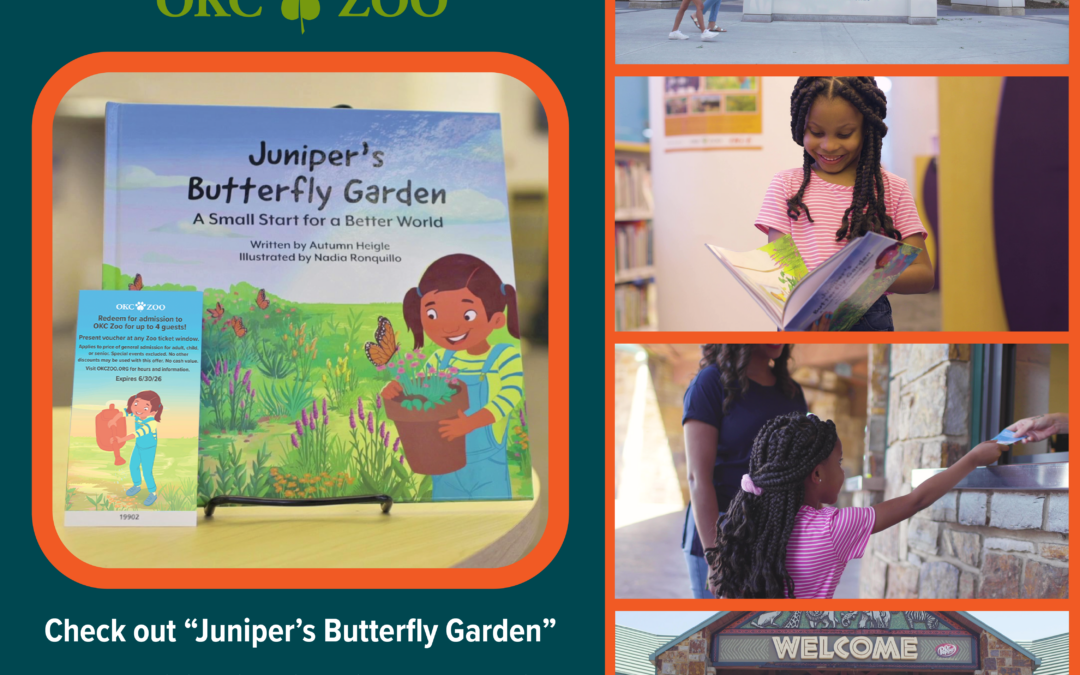 Juniper’s Butterfly Garden